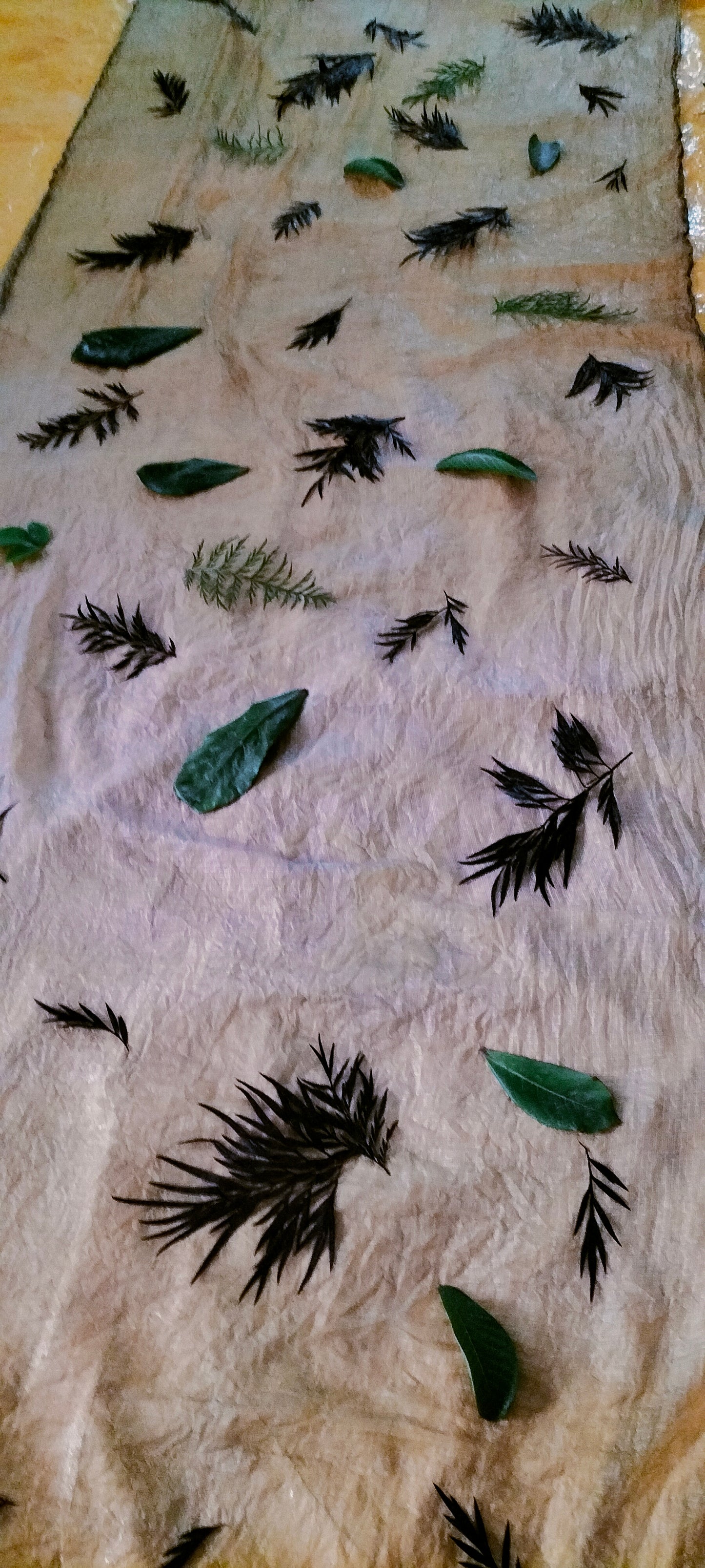 Bloom leaf - Eco-printed & naturally dyed pure kota silk saree