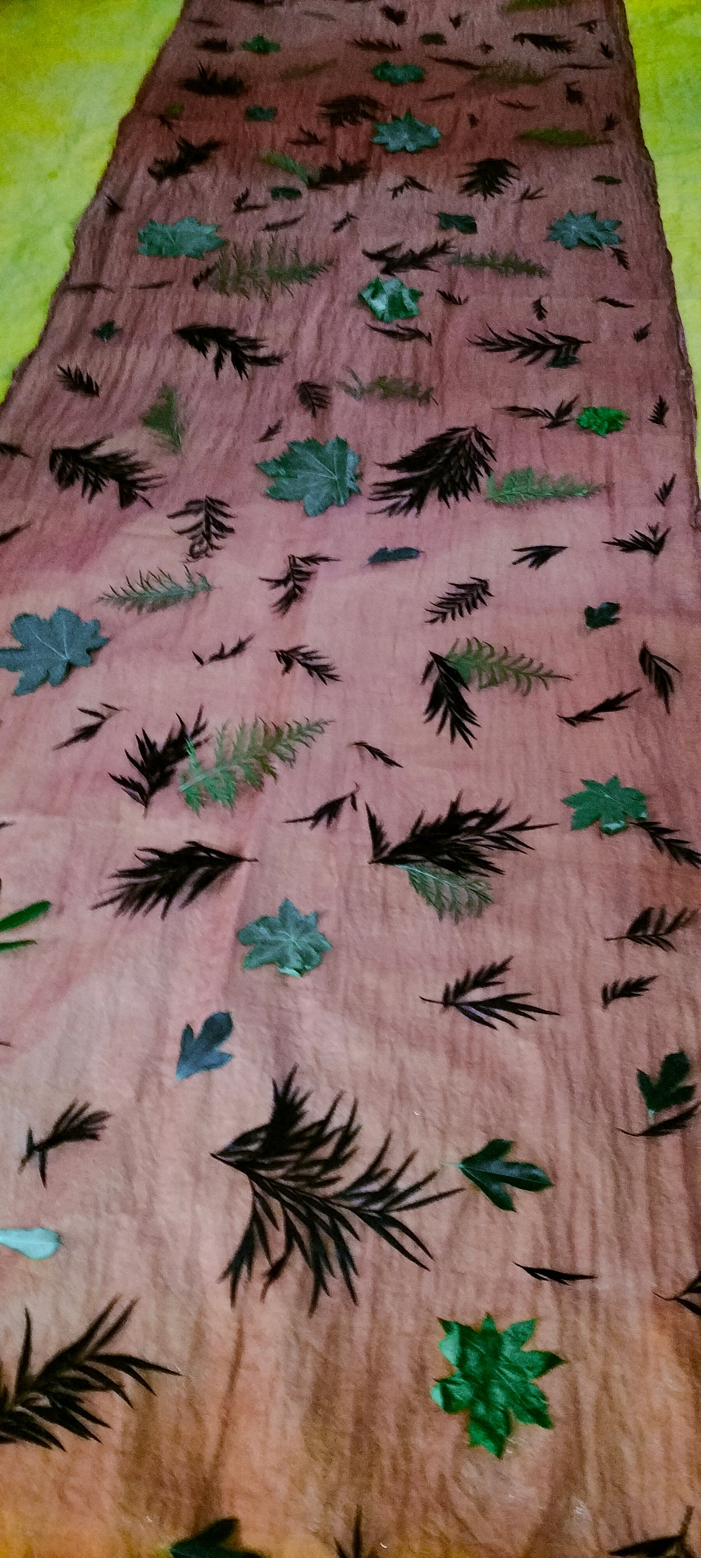 The living leaf - Eco-printed & naturally dyed pure kota silk saree