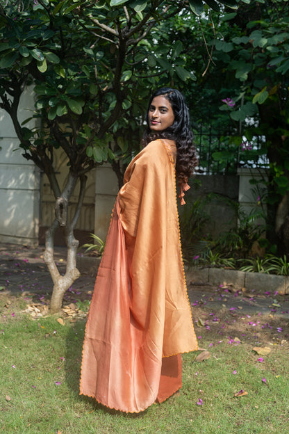 Golden Ember - Naturally Dyed Pure Handloom Chanderi Silk Saree