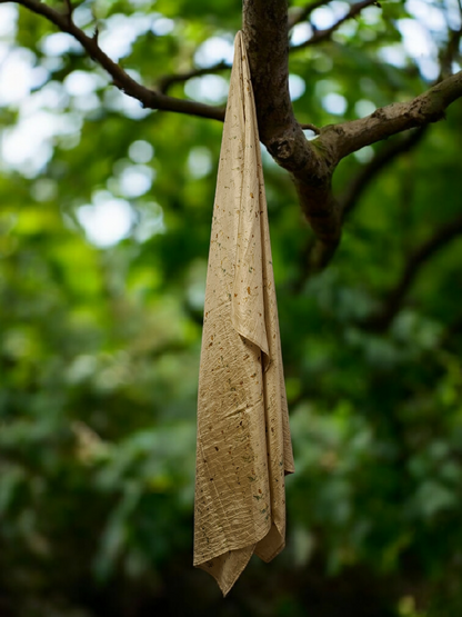Green Calm  Habutai Silk Stole / Scarf